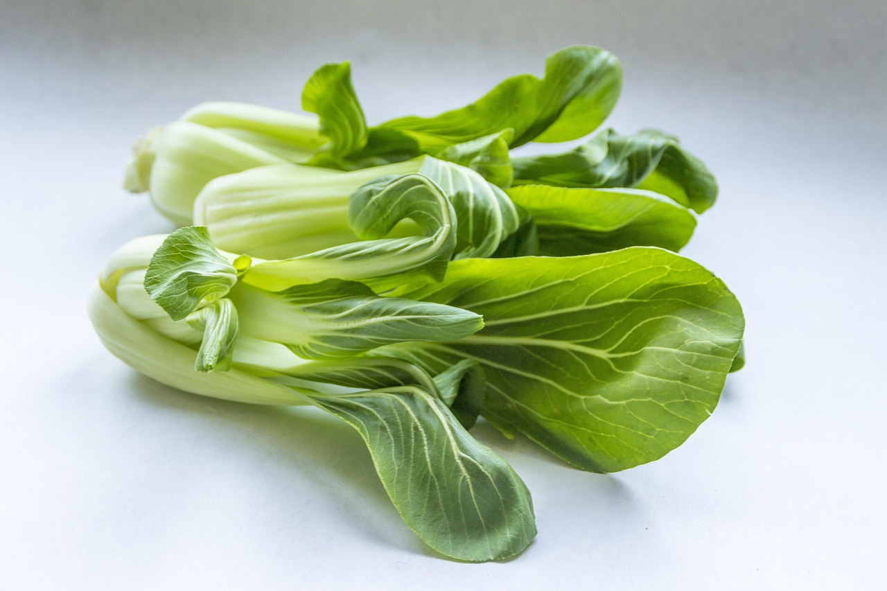 Pak Choi: Força Calcária e Renovação Celular